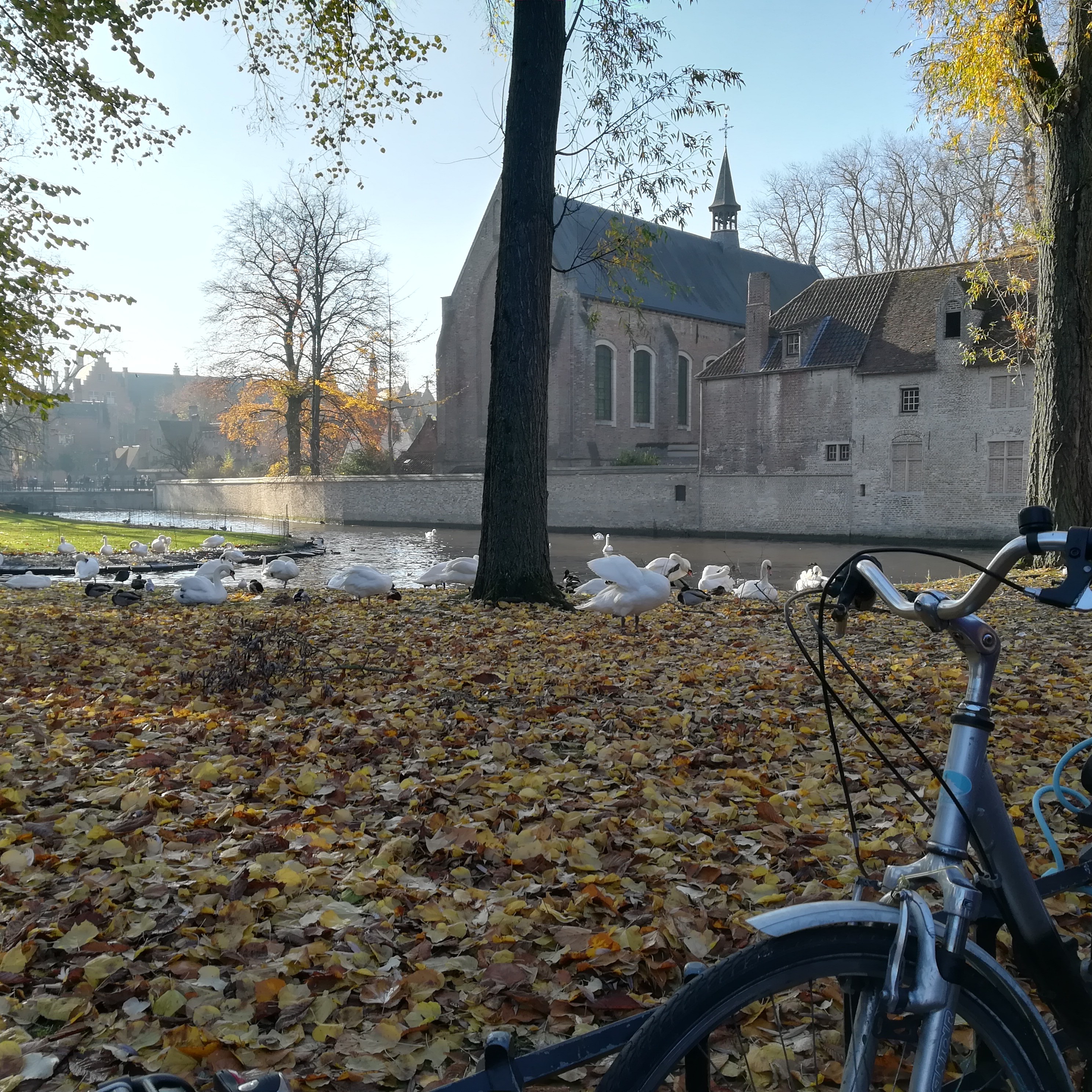 Lago del Rosario - Brujas