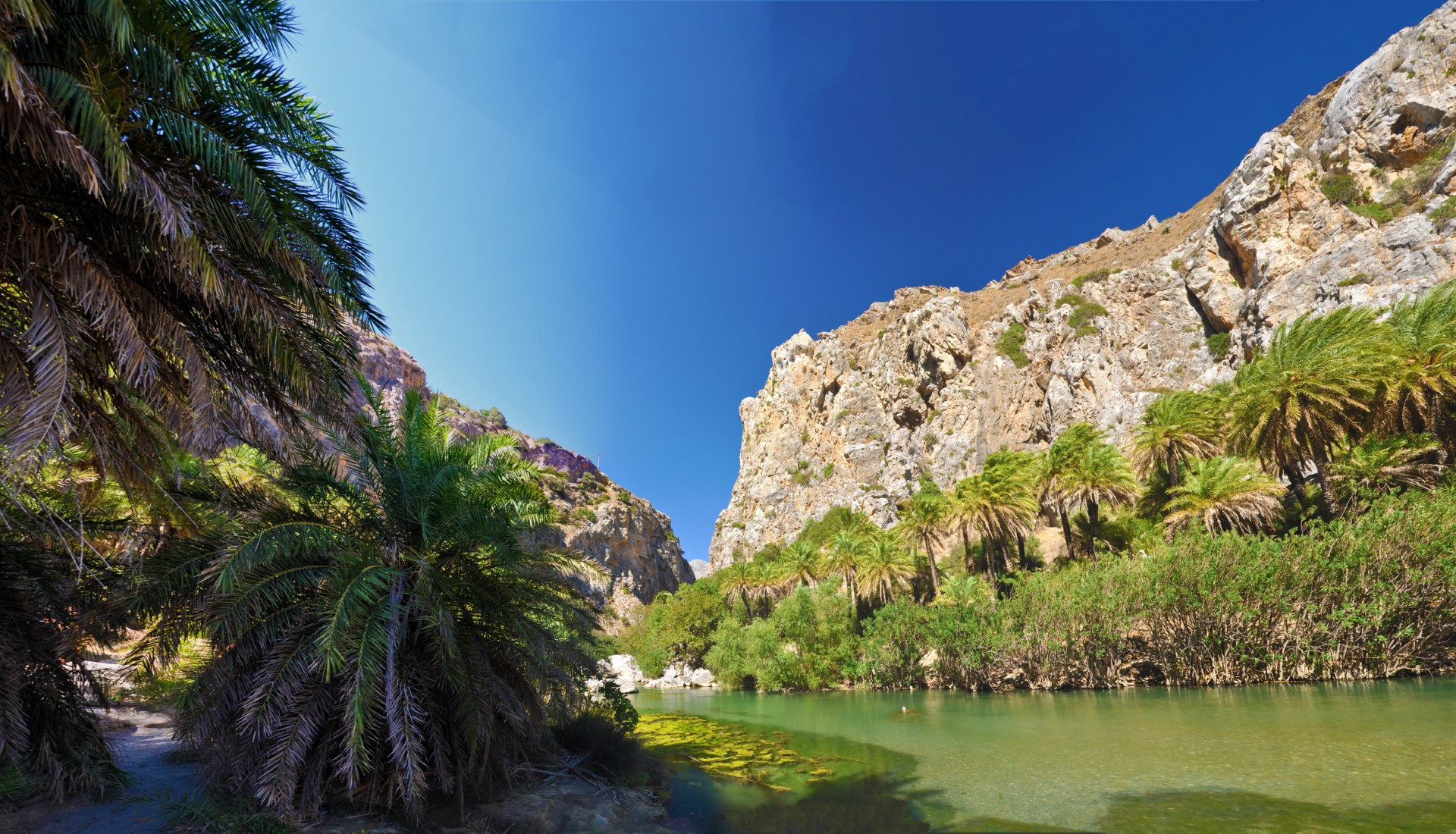 preveli