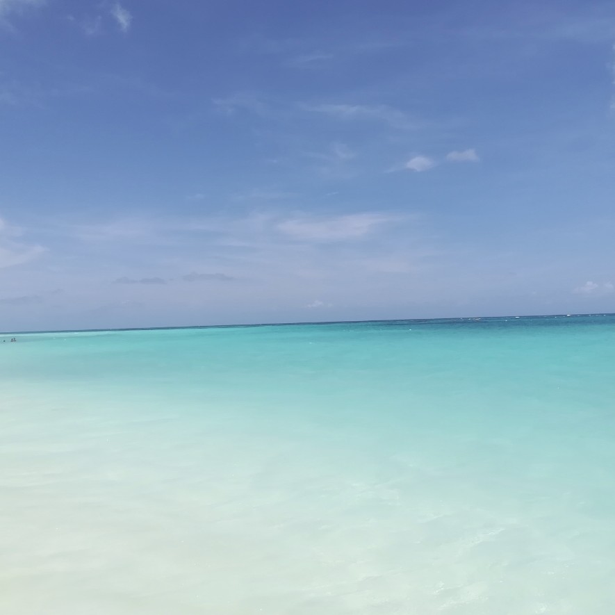 Pink Sand Beach