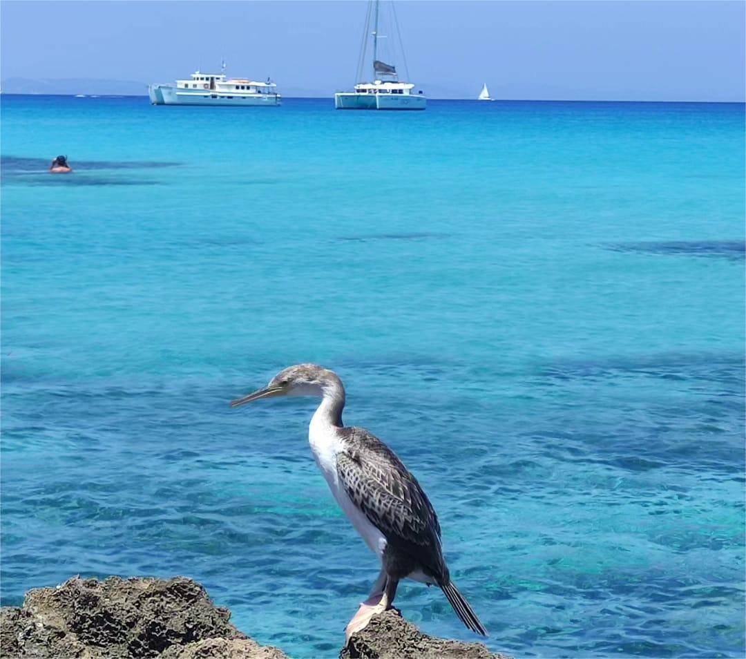 Formentera