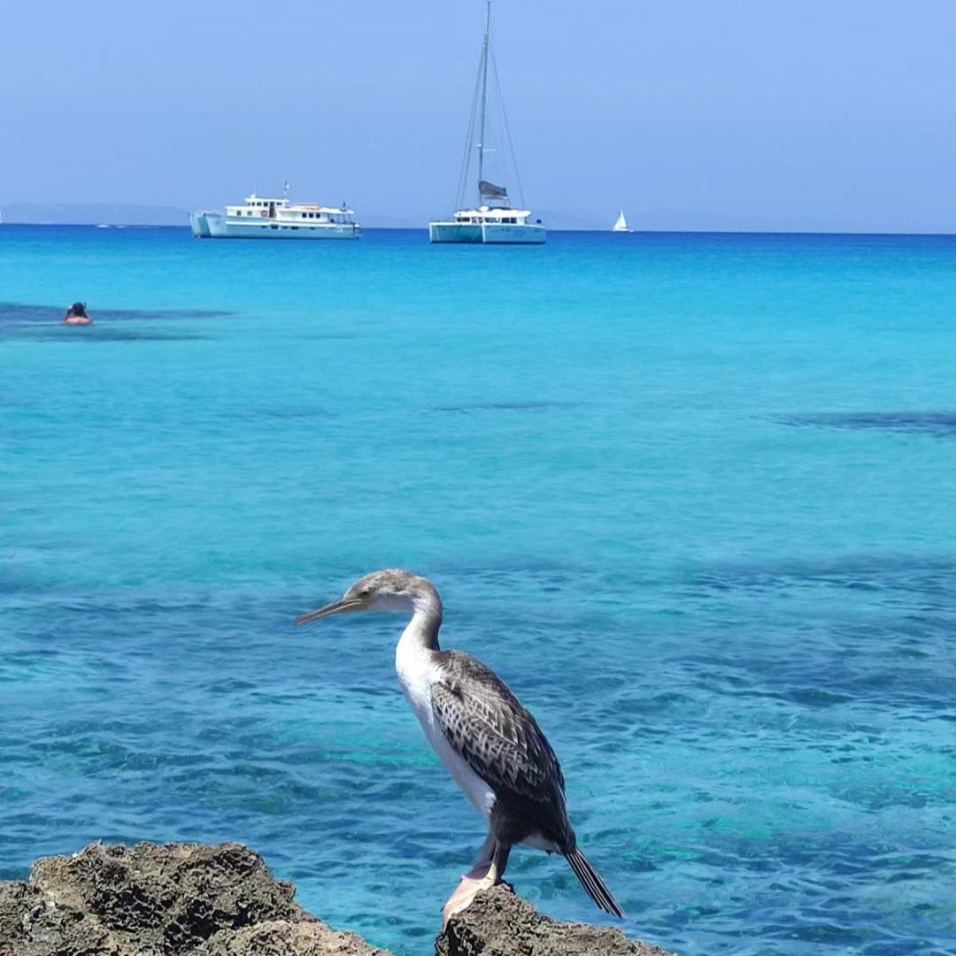Playa de Migjorn - Formentera