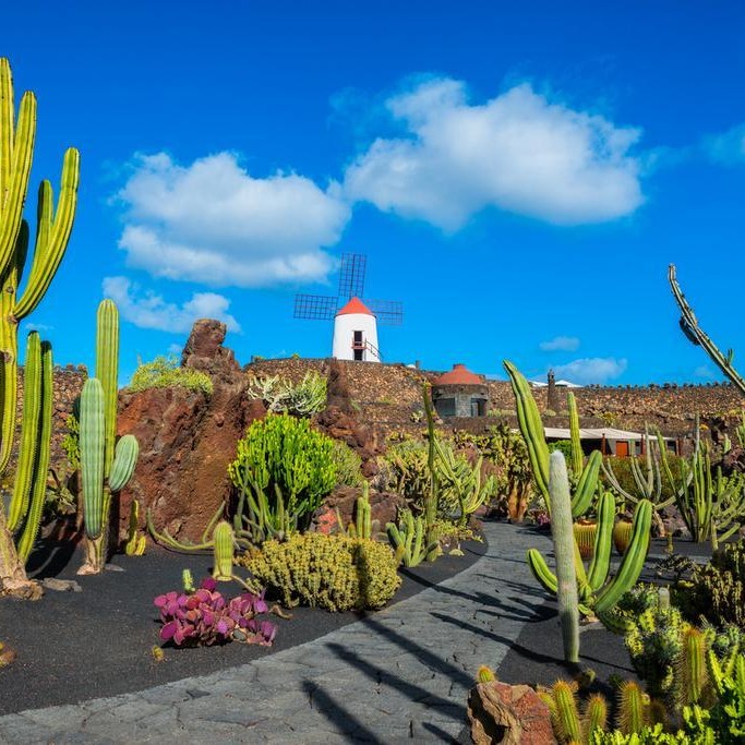 Jardín de Cactus - Lanzarote