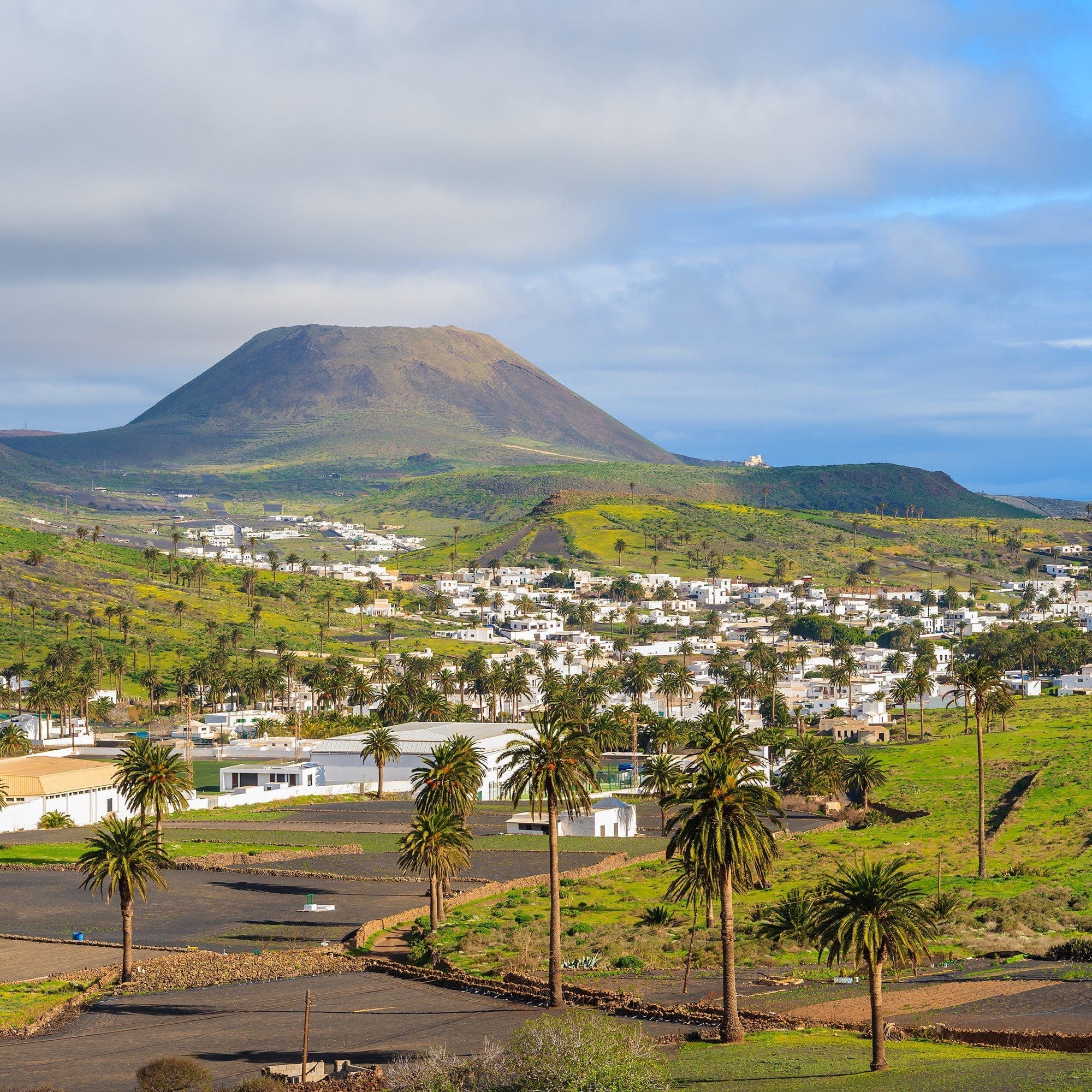 Haría - Lanzarote