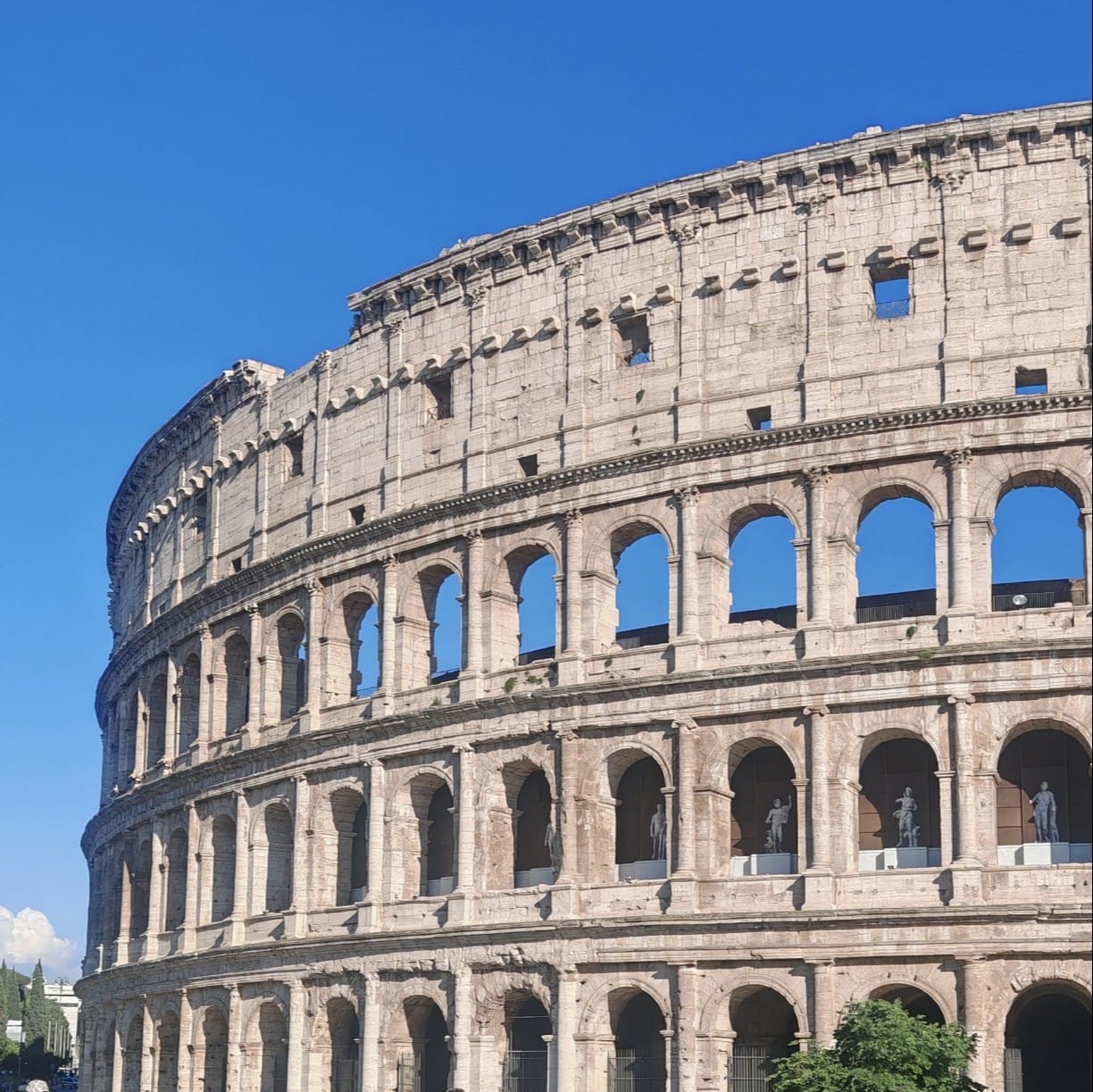 Coliseo
